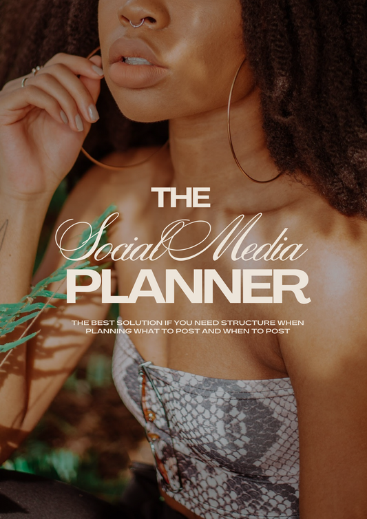 THE SOCIAL MEDIA PLANNER | MRR & PLR